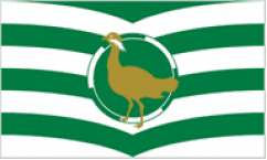 Wiltshire Table Flags